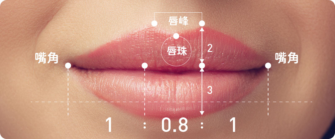 唇型手術介紹